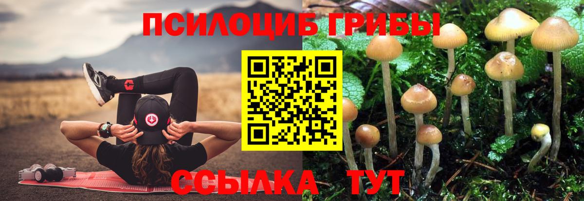 Галлюциногенные грибы мухоморы Зерноград