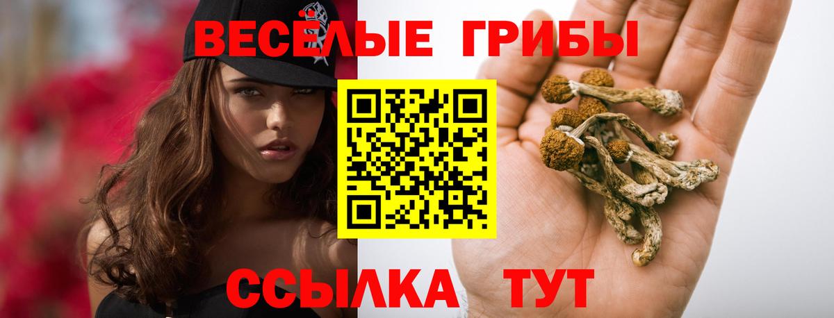 Зерноград  Псилоцибиновые грибы Psilocybe  Вход с VPN  Галлюциногенные грибы мухоморы 